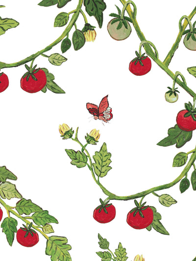 vite di pomodoro wallpaper by carly beck white
