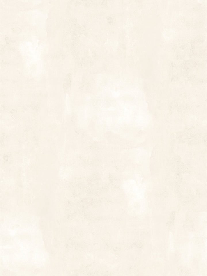Ivory washed-look wallpaper with subtle mottled texture on a wall