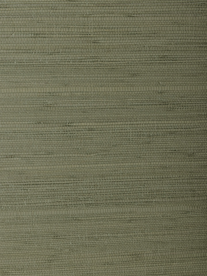 woven solid grasscloth wallpaper in ceylon