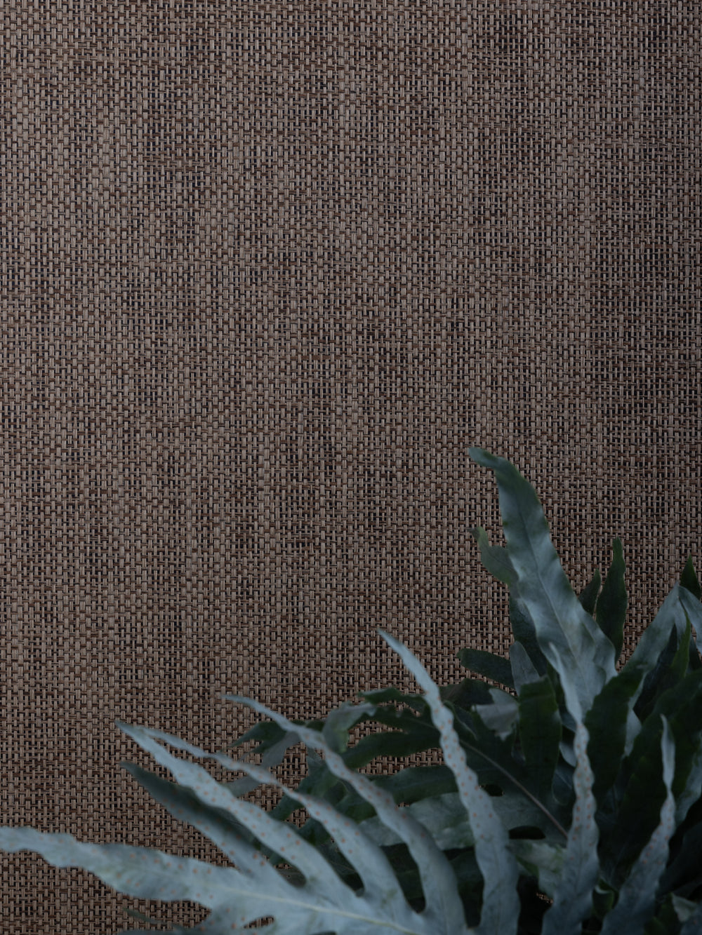 woven textures grasscloth wallpaper in rattan black
