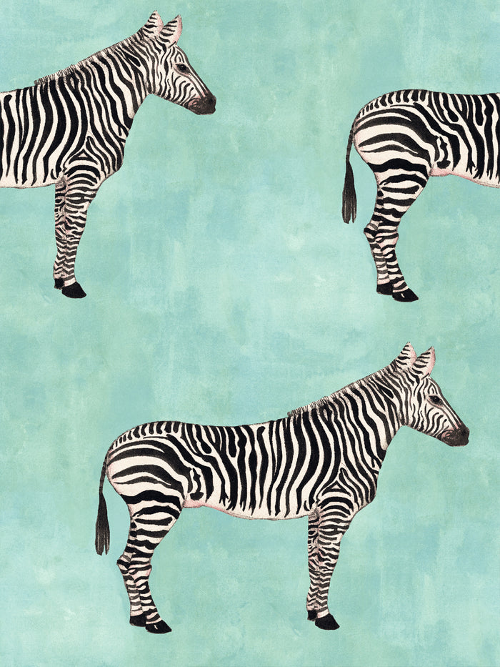 'Zebra' Wallpaper by Mary Maguire - Aqua Blue