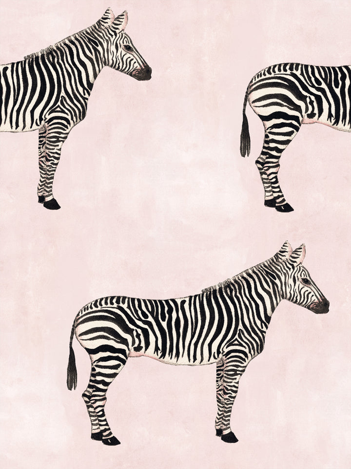 Blush wallpaper with black-and-white zebra pattern, repeating full-body zebras
