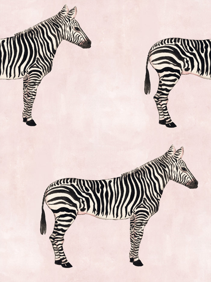 'Zebra' Wallpaper by Mary Maguire - Blush