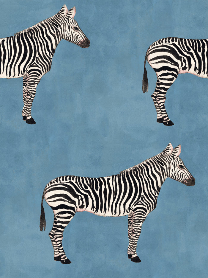 'Zebra' Wallpaper by Mary Maguire - Cadet