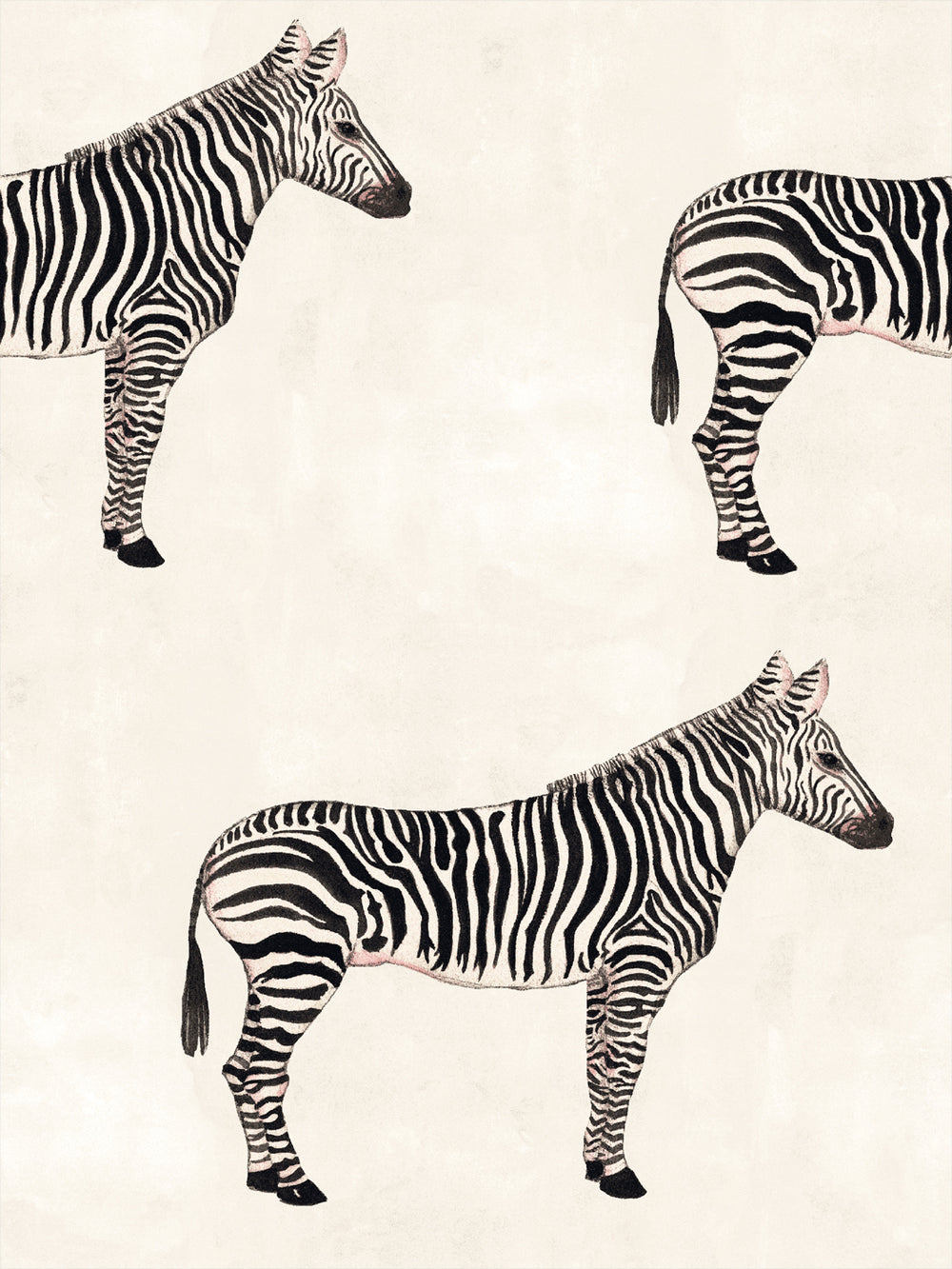 Ivory wallpaper with black and tan zebra figures in a repeating pattern