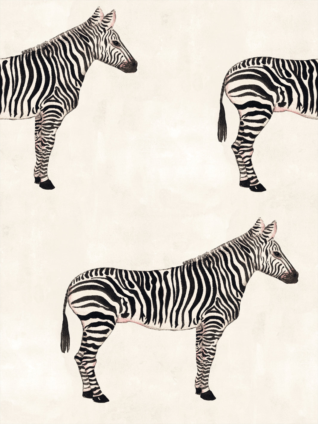 Ivory wallpaper with black and tan zebra figures in a repeating pattern