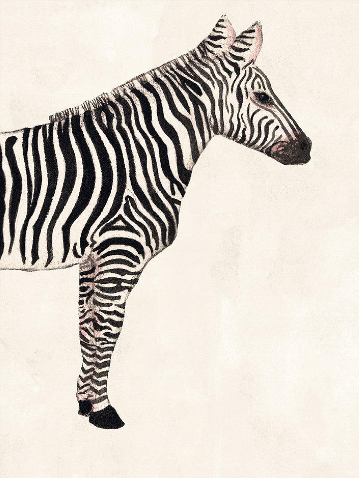 Close view of ivory wallpaper featuring a black-and-tan zebra standing figure
