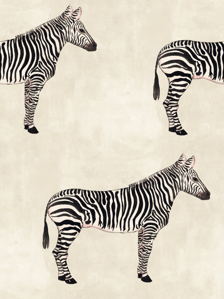 Zebra print wallpaper with multiple zebras on parchment beige background
