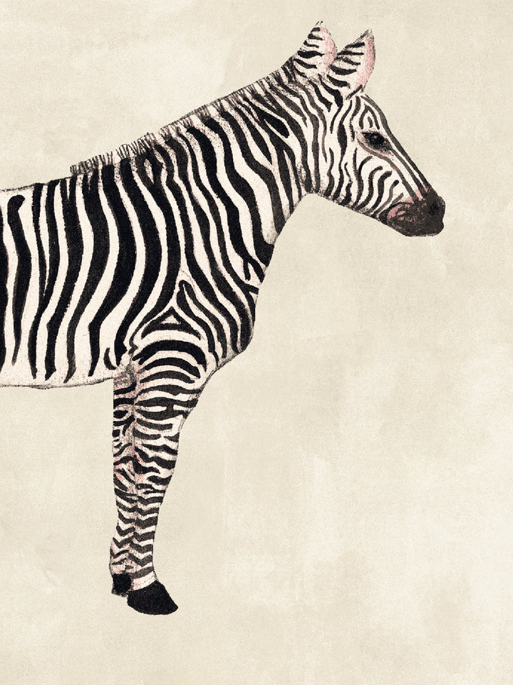 Zebra print wallpaper featuring a large zebra on parchment background
