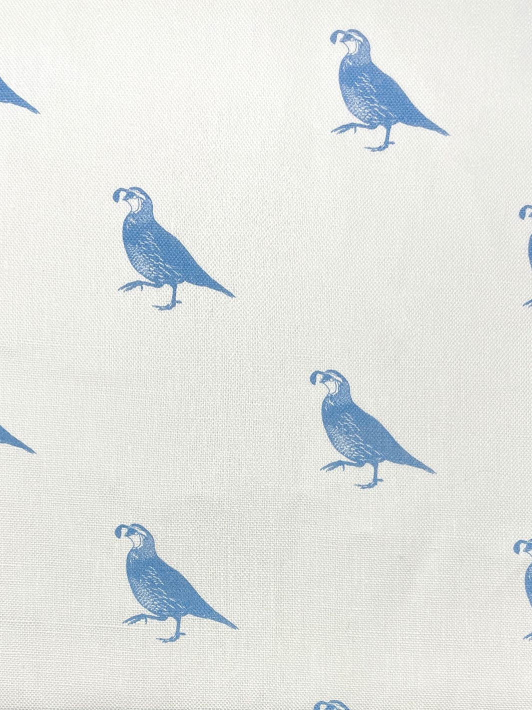 'California Quail' Throw Pillow by Nathan Turner - Blue on Linen