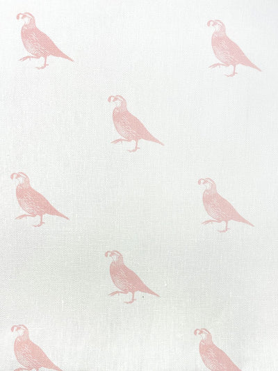 'California Quail' Throw Pillow by Nathan Turner 26x26 - Pink on Linen