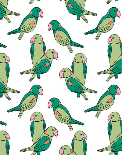 alexandrine parakeet green