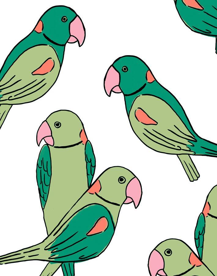 'Alexandrine Parakeet' Wallpaper by Tea Collection - Green