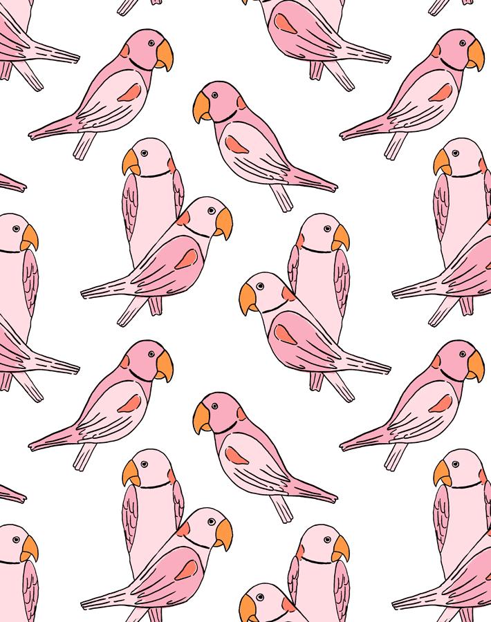 'Alexandrine Parakeet' Wallpaper by Tea Collection - Pink