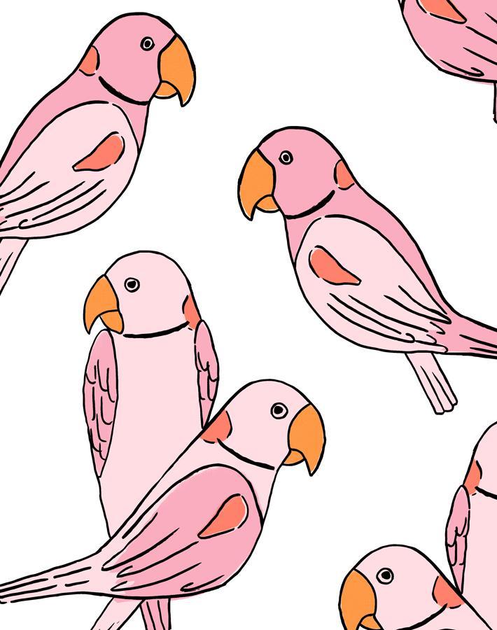 'Alexandrine Parakeet' Wallpaper by Tea Collection - Pink