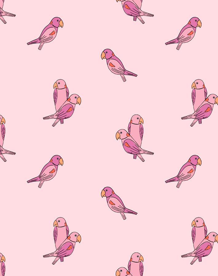 alexandrine-parakeet-small-ballet-slipper