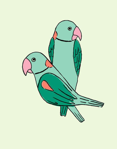 alexandrine parakeet small emerald