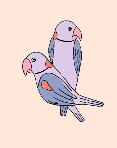 alexandrine parakeet small lilac