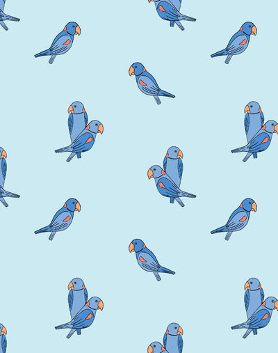 alexandrine parakeet small sky