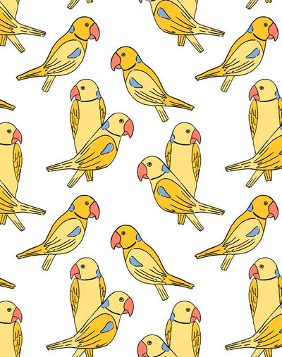 alexandrine parakeet yellow