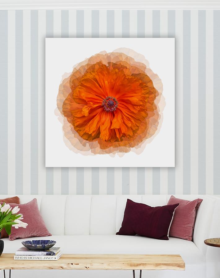 Artshoppe Amber Peony on Acrylic by Nathan Turner