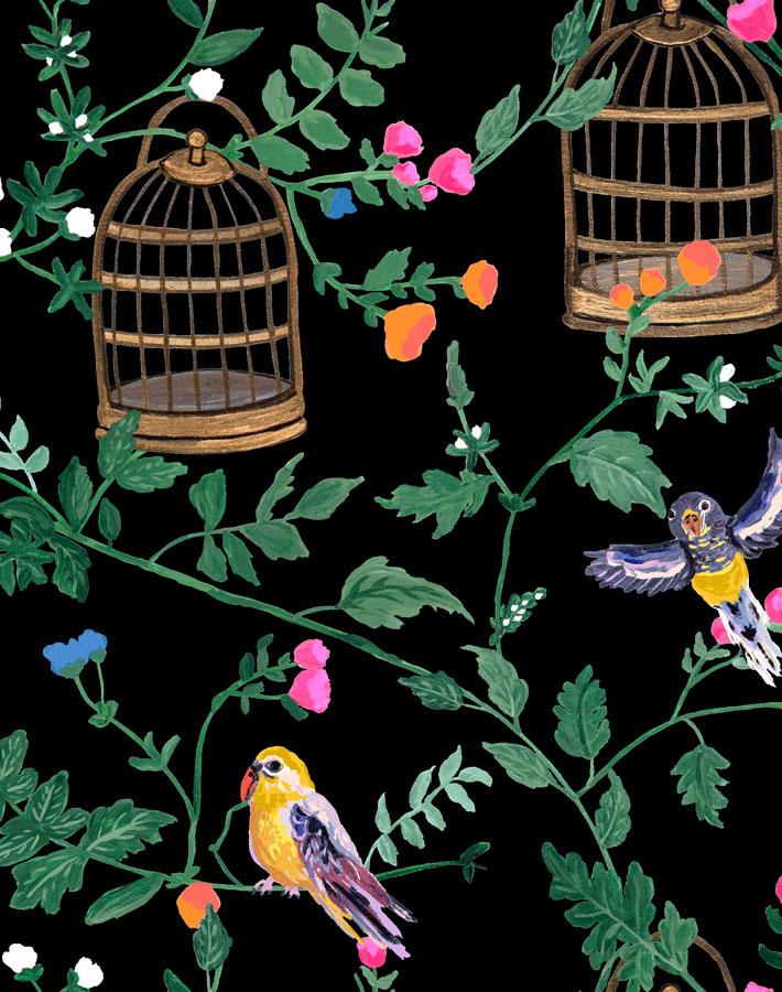 anns garden black wallpaper by carly beck