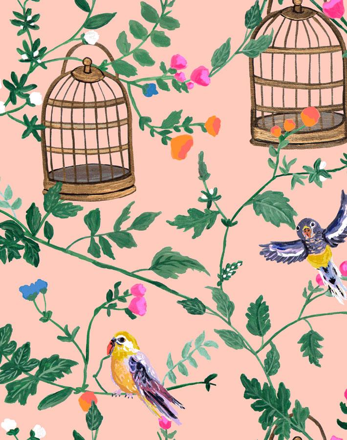 'Ann's Garden' Wallpaper by Carly Beck - Salmon