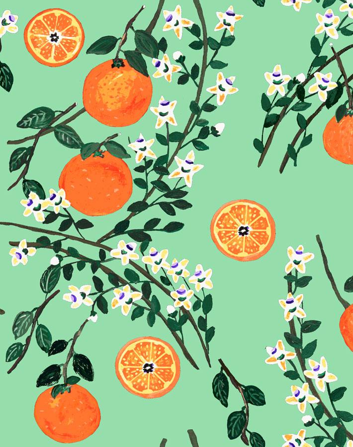 arance-dolci-jade-wallpaper-by-carly-beck