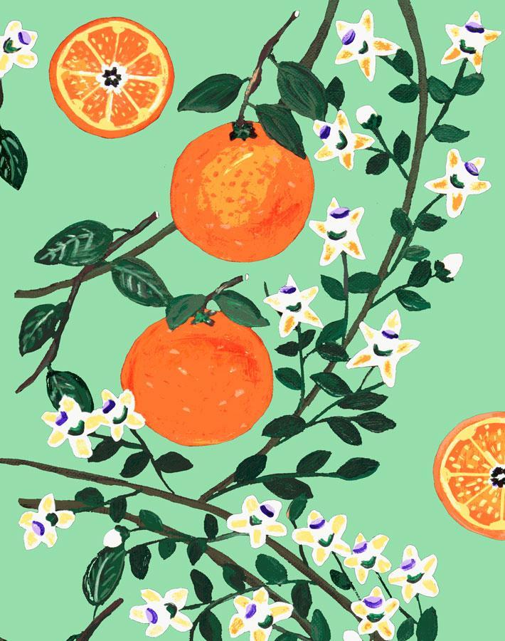 arance-dolci-jade-wallpaper-by-carly-beck