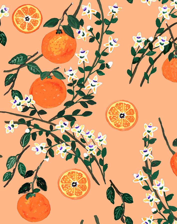 arance-dolci-orange-wallpaper-by-carly-beck