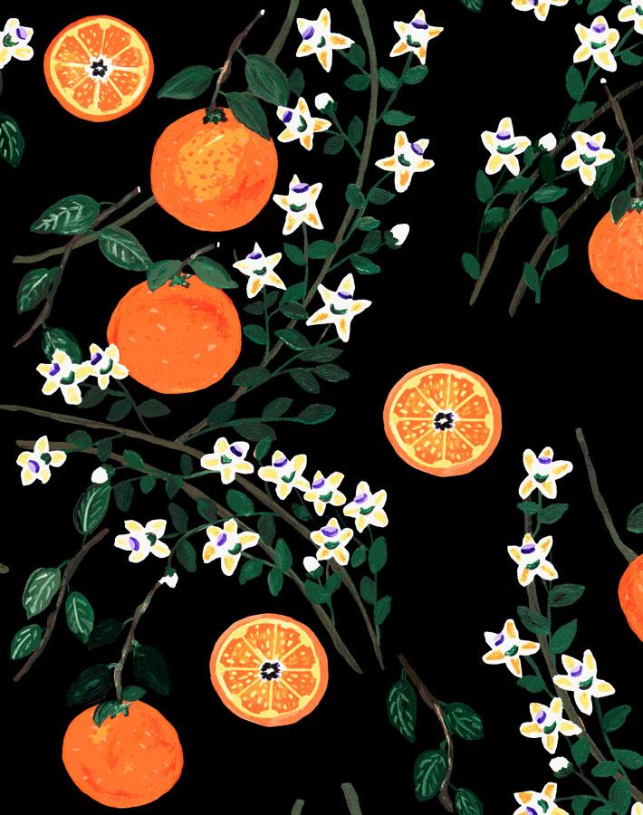 arance-dolci-black-wallpaper-by-carly-beck