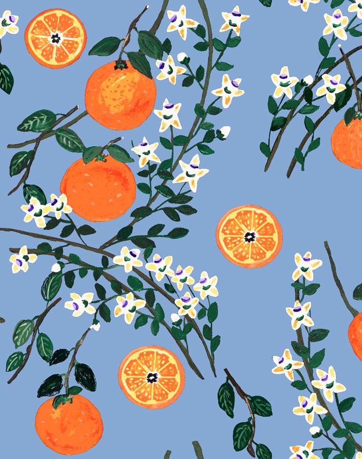 Arance Dolci - Blue Wallpaper by Carly Beck - Wallshoppe Removable & Traditional Wallpaper