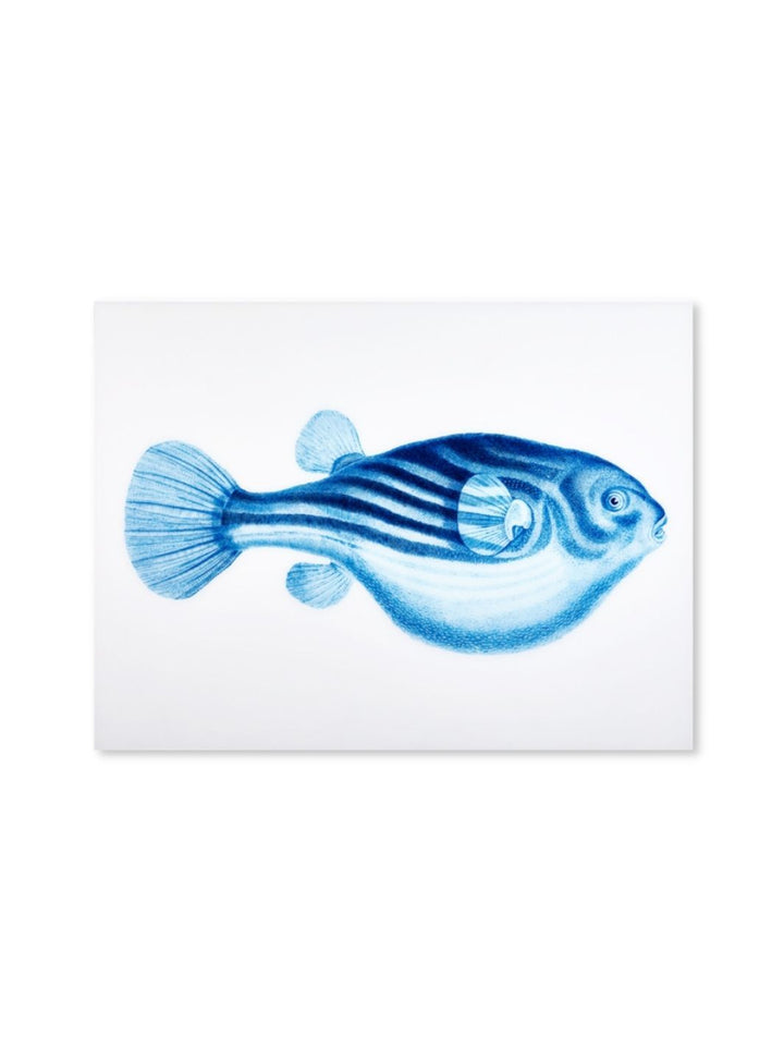 'Blowfish' on Acrylic Art