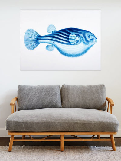 'Blowfish' on Acrylic Art