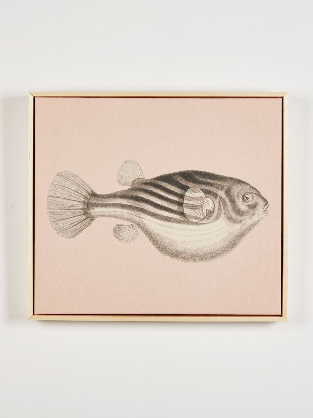 'Blowfish' on Natural Canvas Framed Art