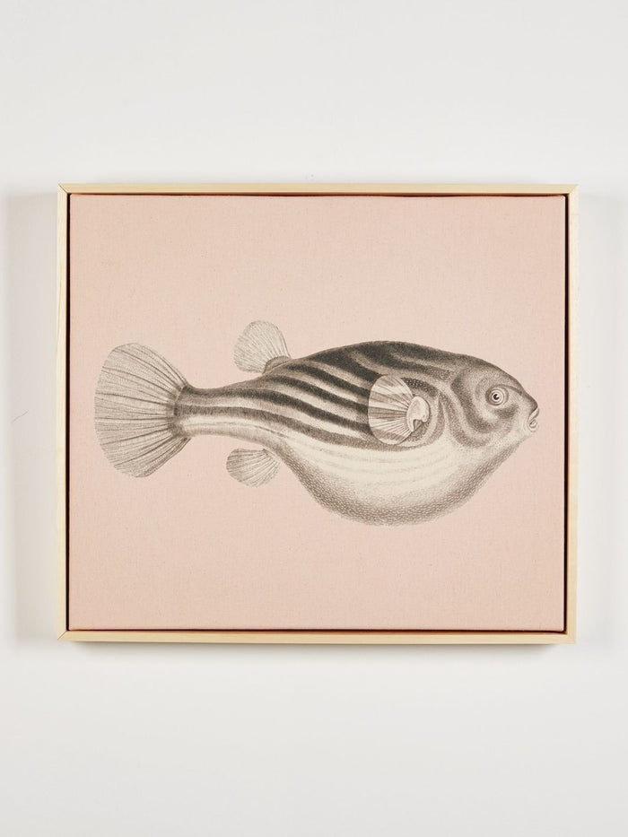 'Blowfish' on Natural Canvas Framed Art