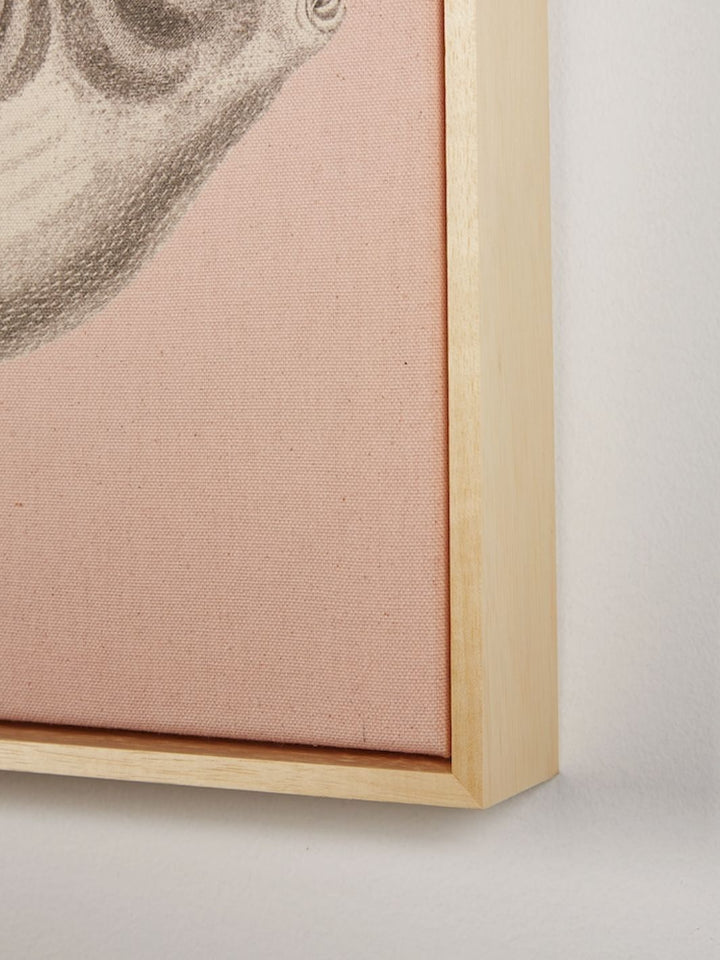 'Blowfish' on Natural Canvas Framed Art