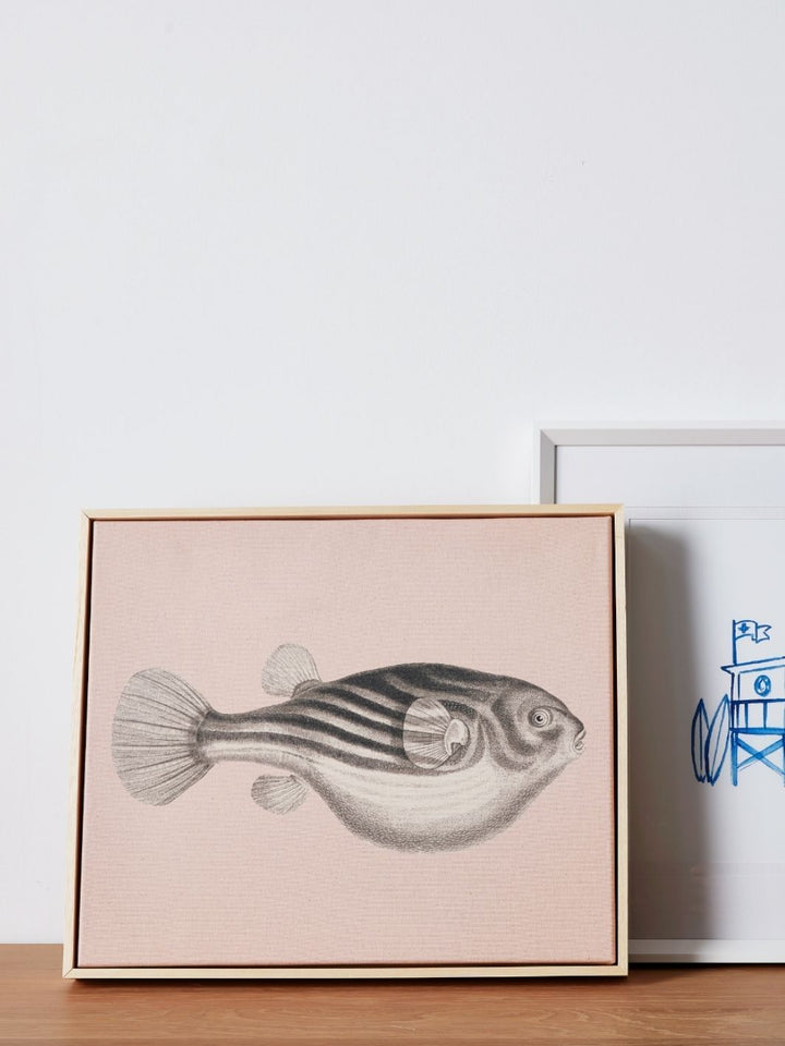 'Blowfish' on Natural Canvas Framed Art
