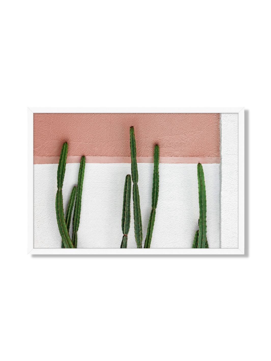 'Cacti Block' Framed Art