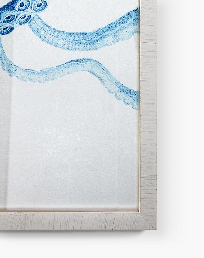 'Pacific Octopus Silverleaf' Framed Art