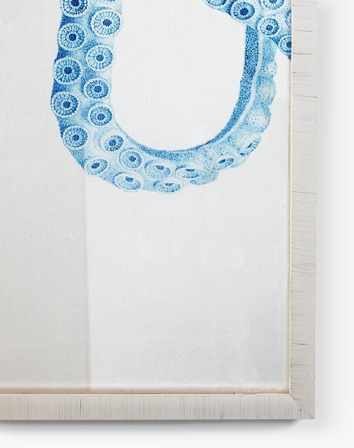 'Pacific Octopus Silverleaf' Framed Art