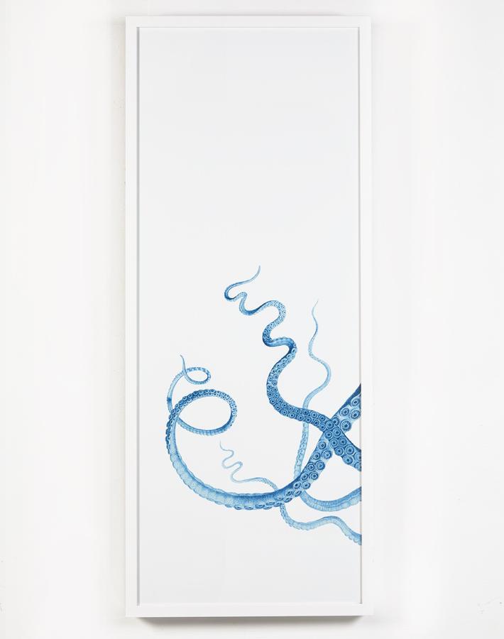 'Pacific Octopus White' Framed Art