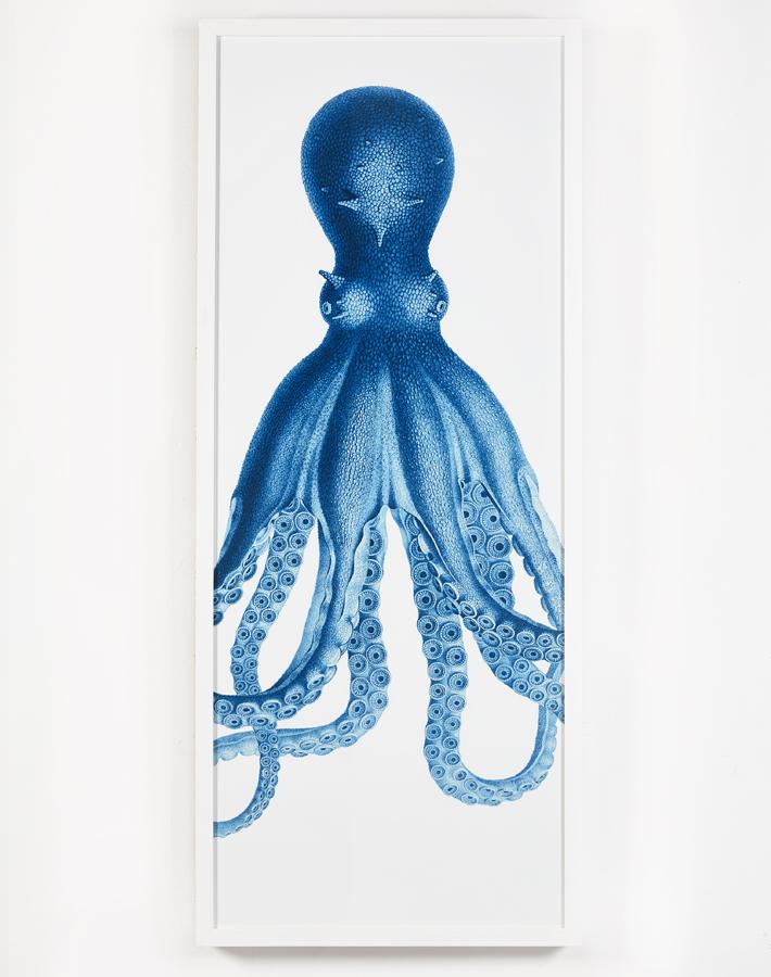 'Pacific Octopus White' Framed Art