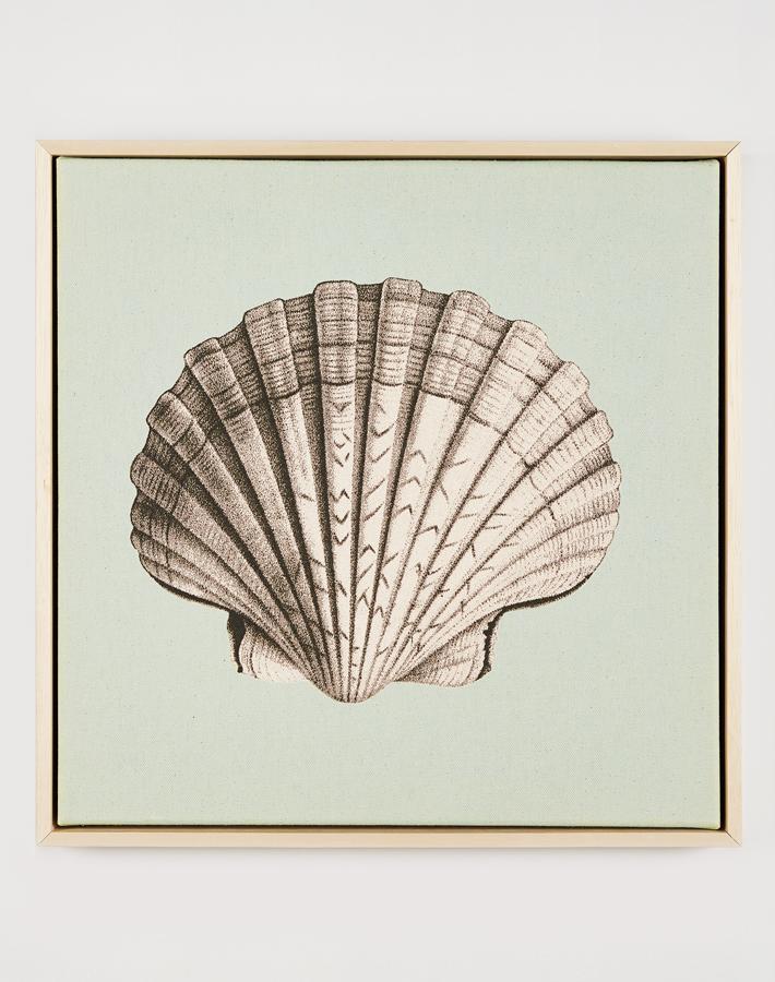 'Scallop Shell Blue' By Nathan Turner on Natural Canvas Framed Art