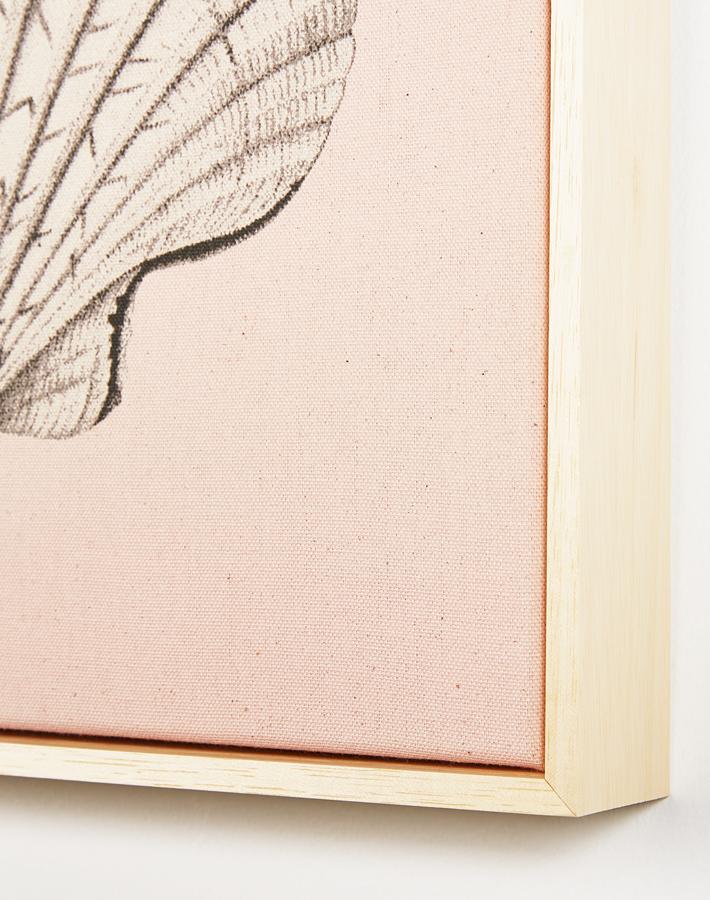 "Coquille Saint-Jacques rose sur toile naturelle, art encadré