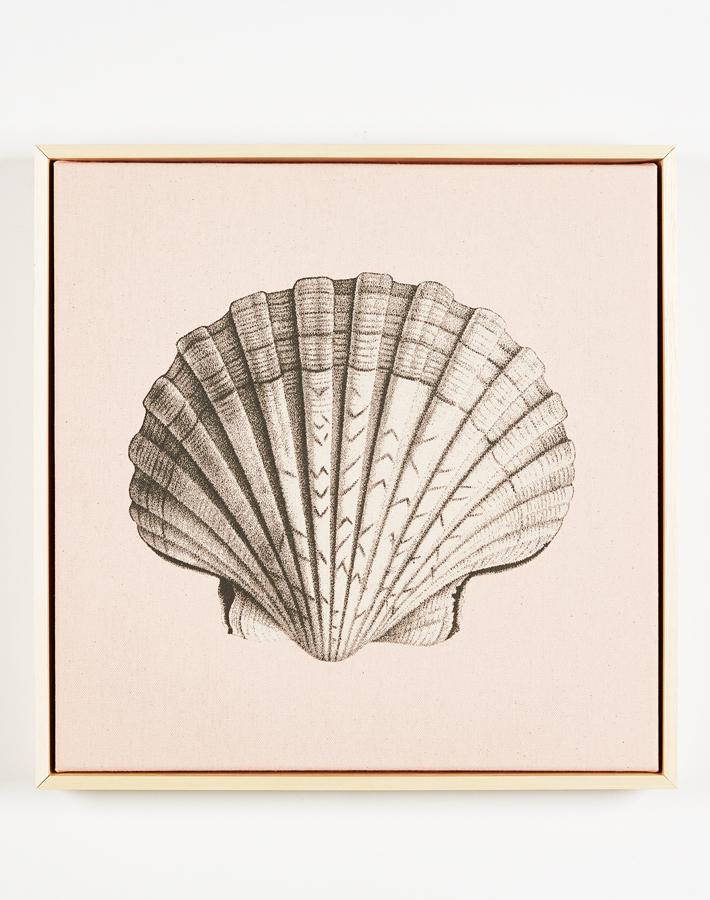'Scallop Shell Pink on Natural Canvas Framed Art