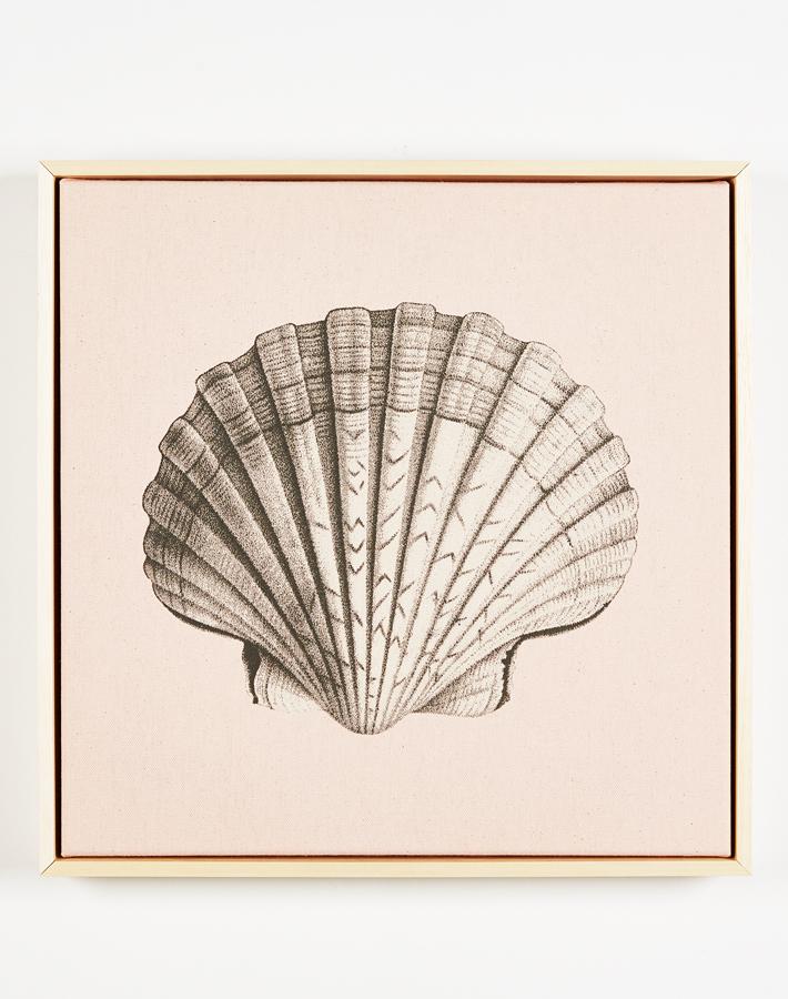 "Coquille Saint-Jacques rose sur toile naturelle, art encadré