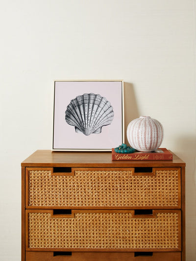 "Coquille Saint-Jacques rose sur toile naturelle, art encadré