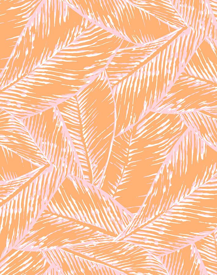 best fronds creamsicle