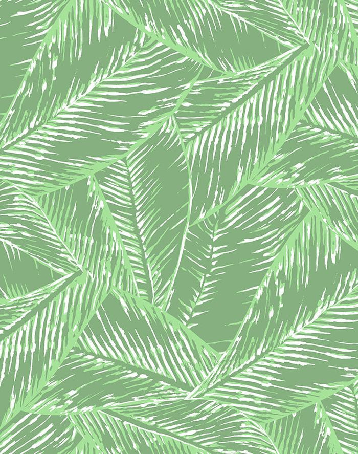'Best Fronds' Wallpaper by Wallshoppe - Green